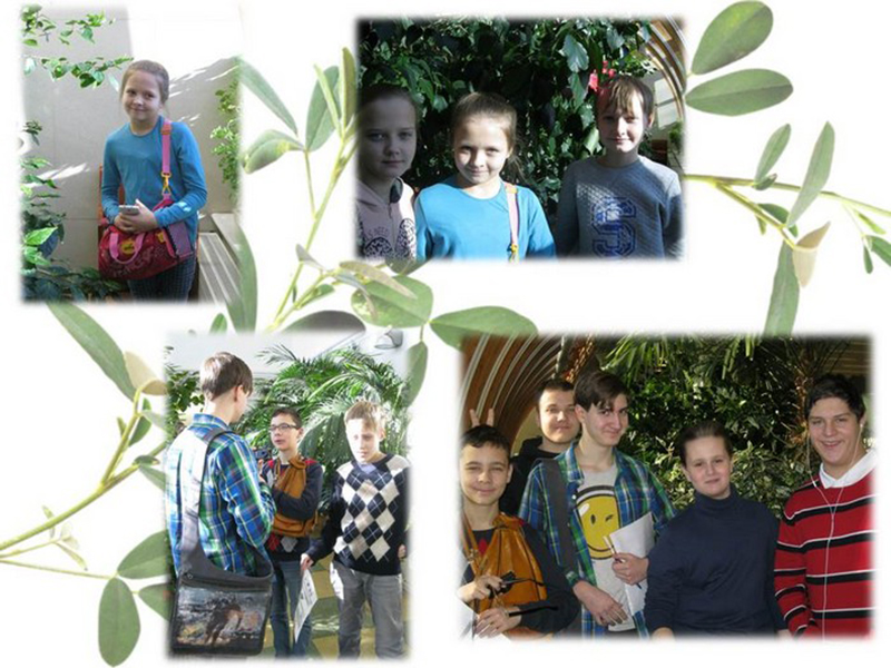 �������� �������� �1590 ������ ������� �������� ��������� ������������ �����-�����������