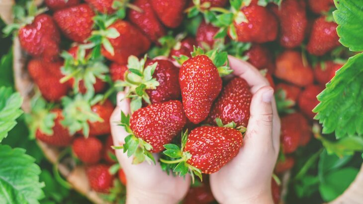 ��������� ���������, ����� ���������� ��������