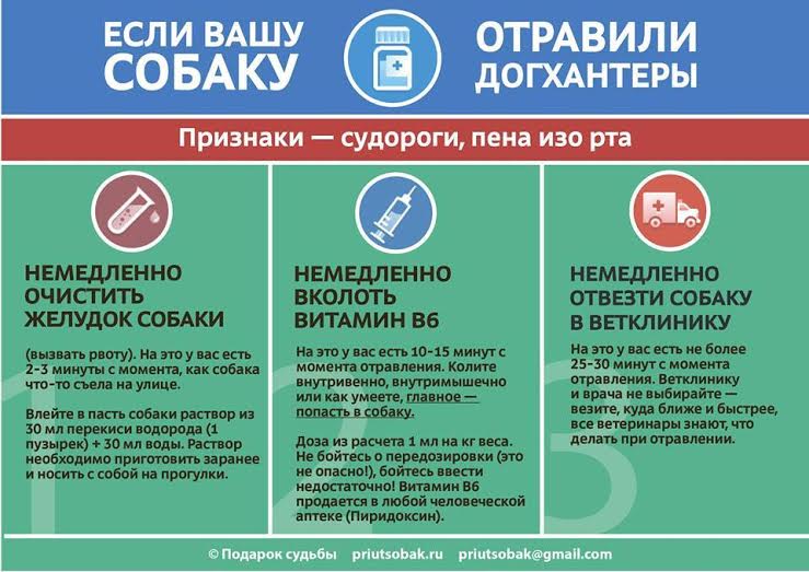 ������������ ������������� ������� ������� � ������ �����������