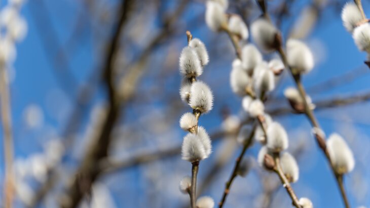 � ��� �������� ��� � �������� ���� �����