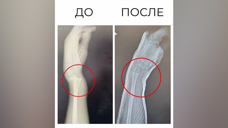 ����� � ����������� ������� ��������� � ���������� ���� ����� ������� � ������