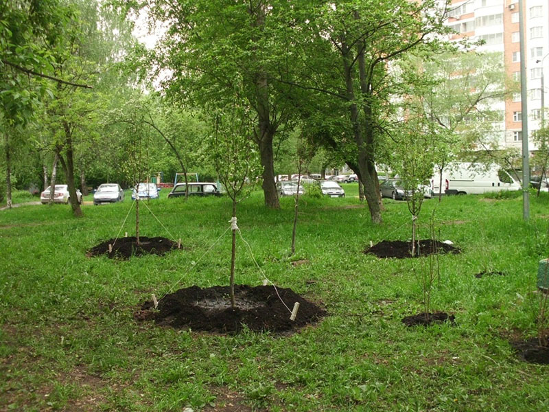 � ������� �������� ������� � ���������� � ������ ����� �������� ��������