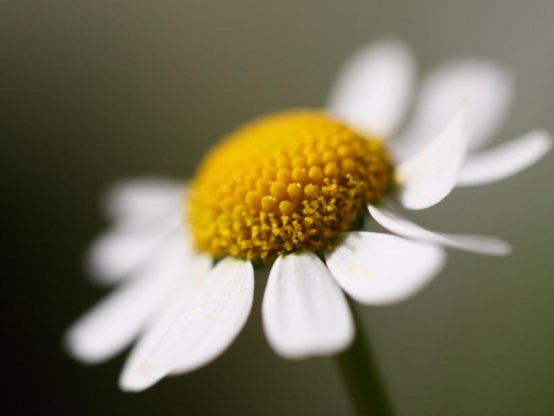 ������������� ������� �������� � ����� �����