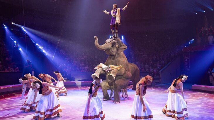 � �������� ��������� ���� �������� ��� � ��������� �������� ��������