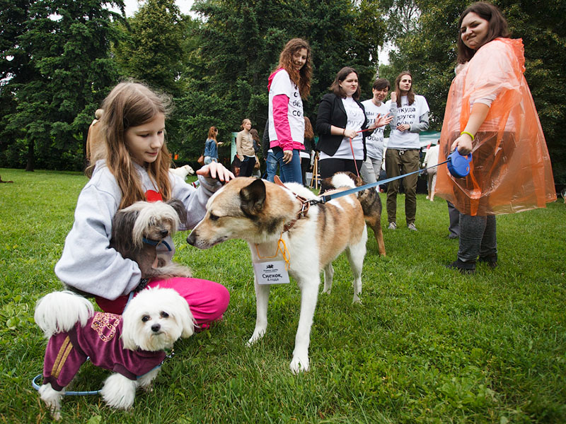 �������� ������ ����� ���� ���������� ��������� ����� � ����� ���������