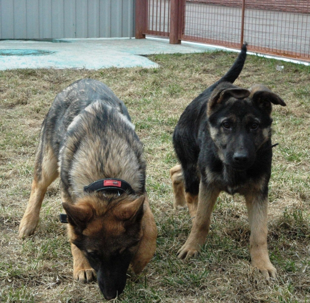 � �������������� ����� ��� �� ��� ������� ����������