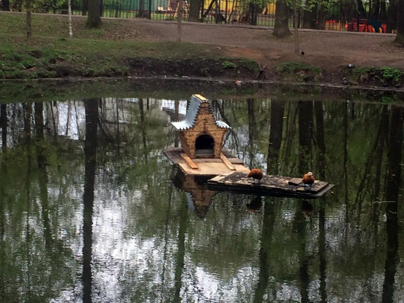 � ����� �������� ������ ������� �������� ����� ��� ����