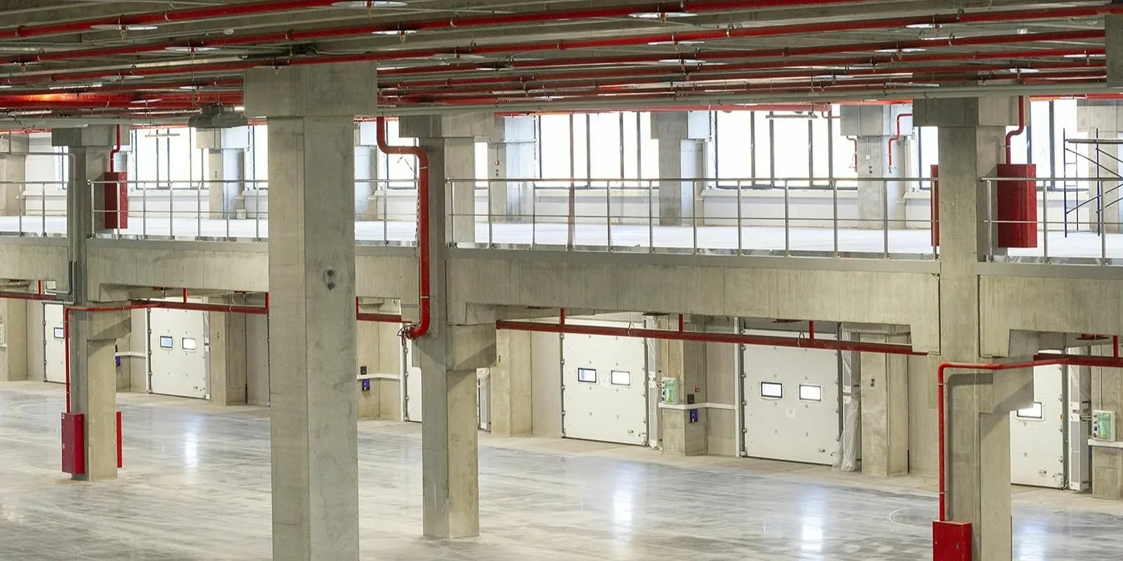 ����� �����������-������� ����� �������� � ������ ����-���������