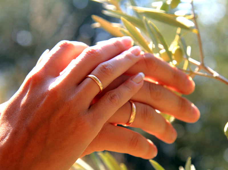 � ������ � ���� �����, ����� � �������� ��������� ��������� ����� ����� ��� ��������