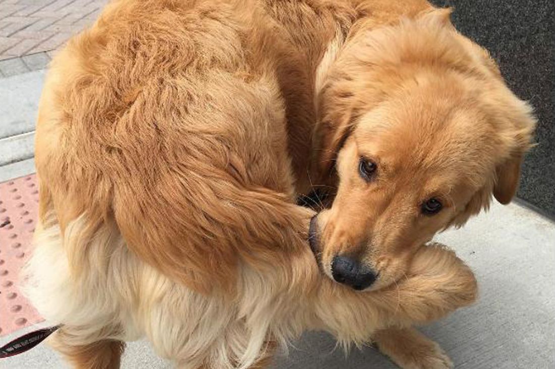 ������� ����� ����������� ��������� � ����������