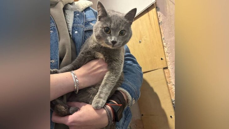 ������ �������� � ����� � ����� ����� � ���������� �������