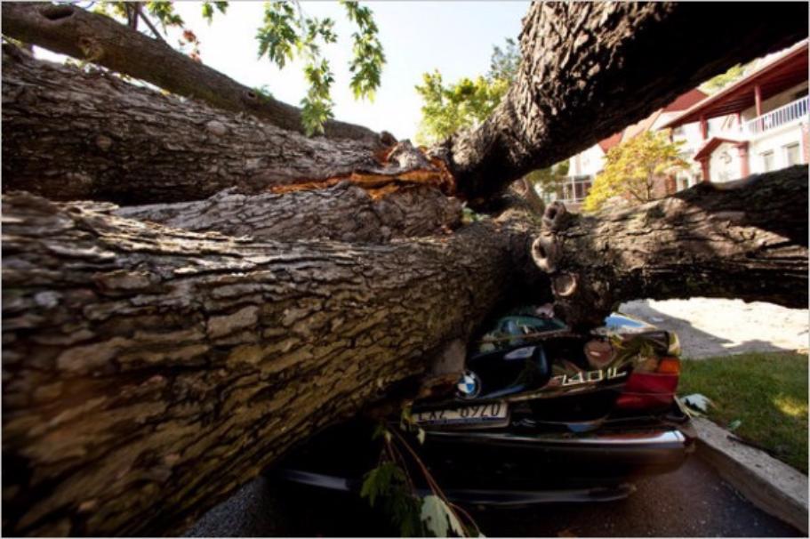 ������ ����� �� ������ �� ���������� �����