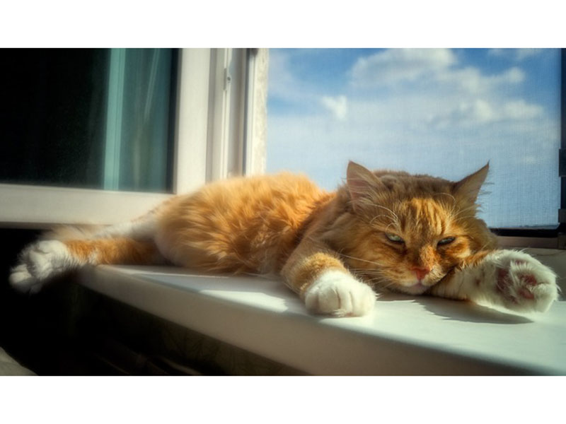 ������� ������� ��������� ������������� � ���, ��� ��������� �� ��������� � ����