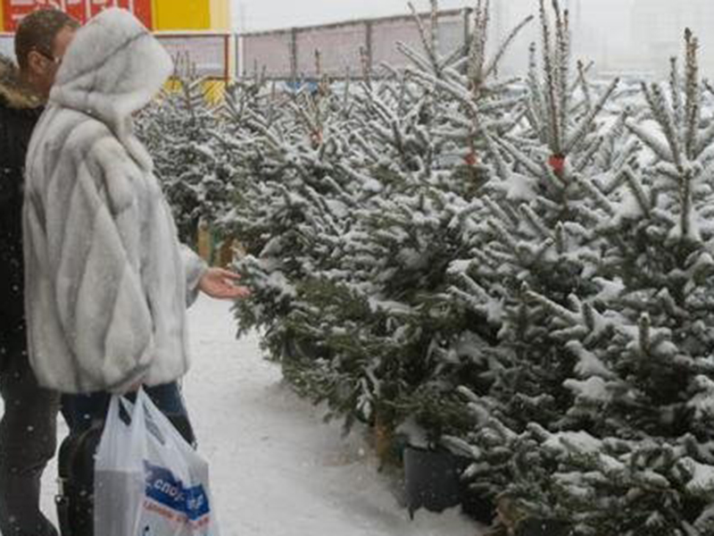 � ������� ��������� ������� �����