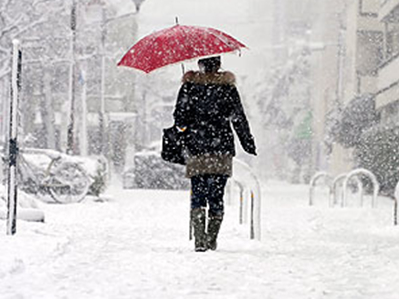 � ������ ������� �������� �������� ����� ������� ��� ������