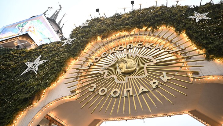 ���������� ������� ������������� ����� ������ � 1 ������