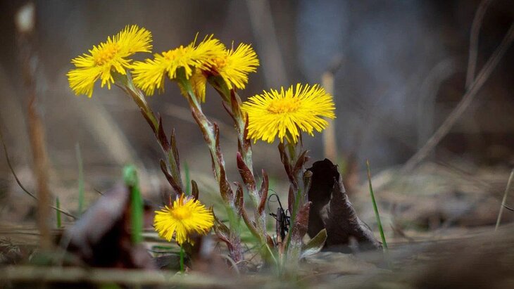 ����� �������� �������� ����� ��������� � ������ ����� �����