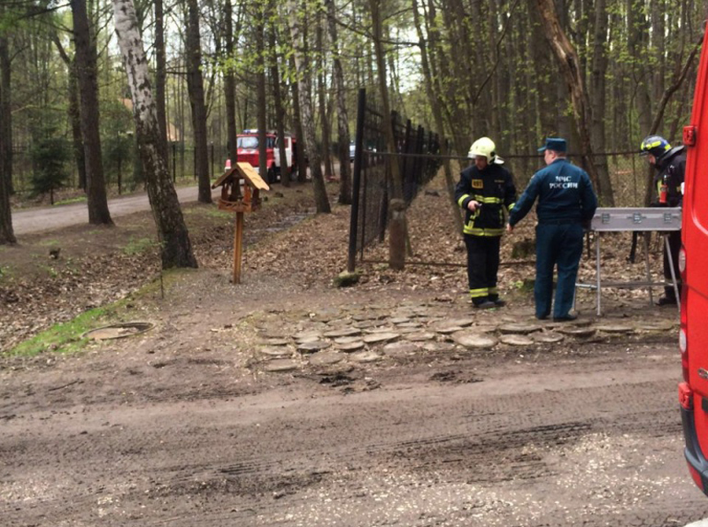 ������� ����� ������ ������� ������ ������� � �������-����������� �������