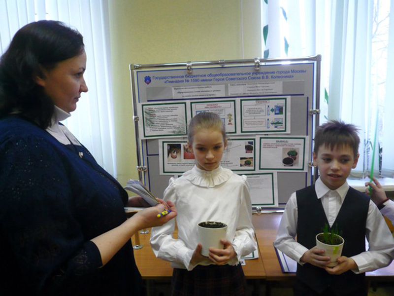 ���� ������������ �������� �1590 ������ ������� ������� ������� � ����������� �������� ��������-����������������� �����