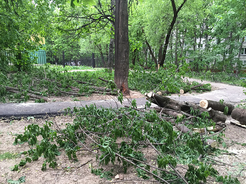 � ������ ������� ������������ ���������� ������ �� ������� ������ ��������