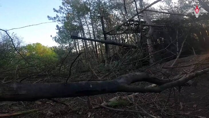 �� ������� �������� ������� �������� ��� ����� ����� �� �������� � ������� �������