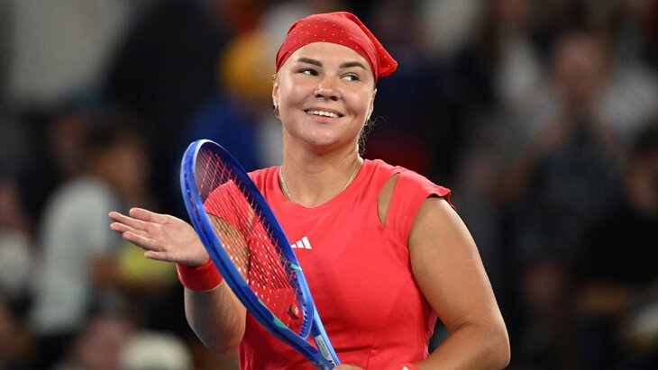 ���������� ����������� ������� ������ � �������� WTA ���������