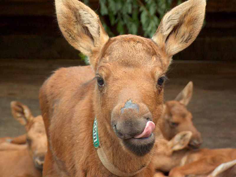 ���������� �� "������� �������" ����� ��������� ��� ���������