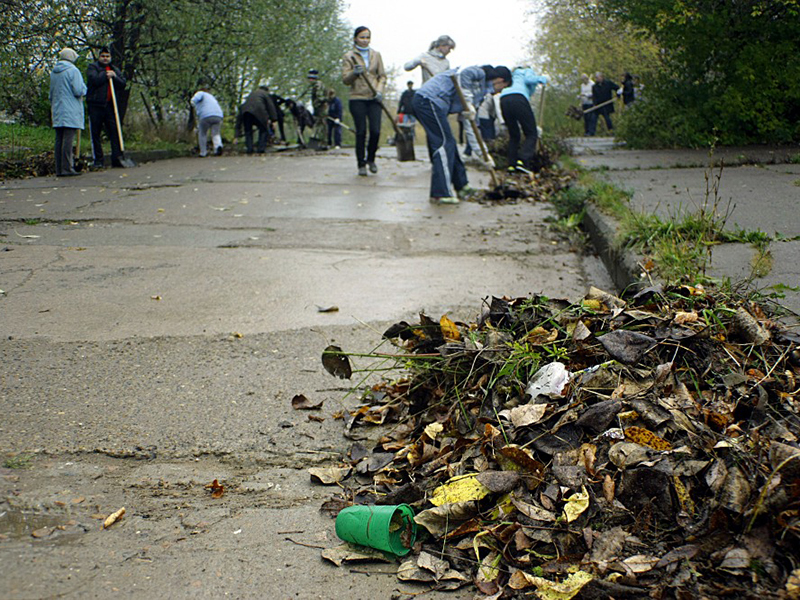 � ����� "��������" ������ ������� ������� ����������