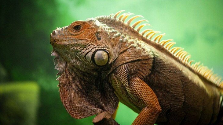 �������� "������� ������" � ���������� �������� ����� ������ �� 19 �����