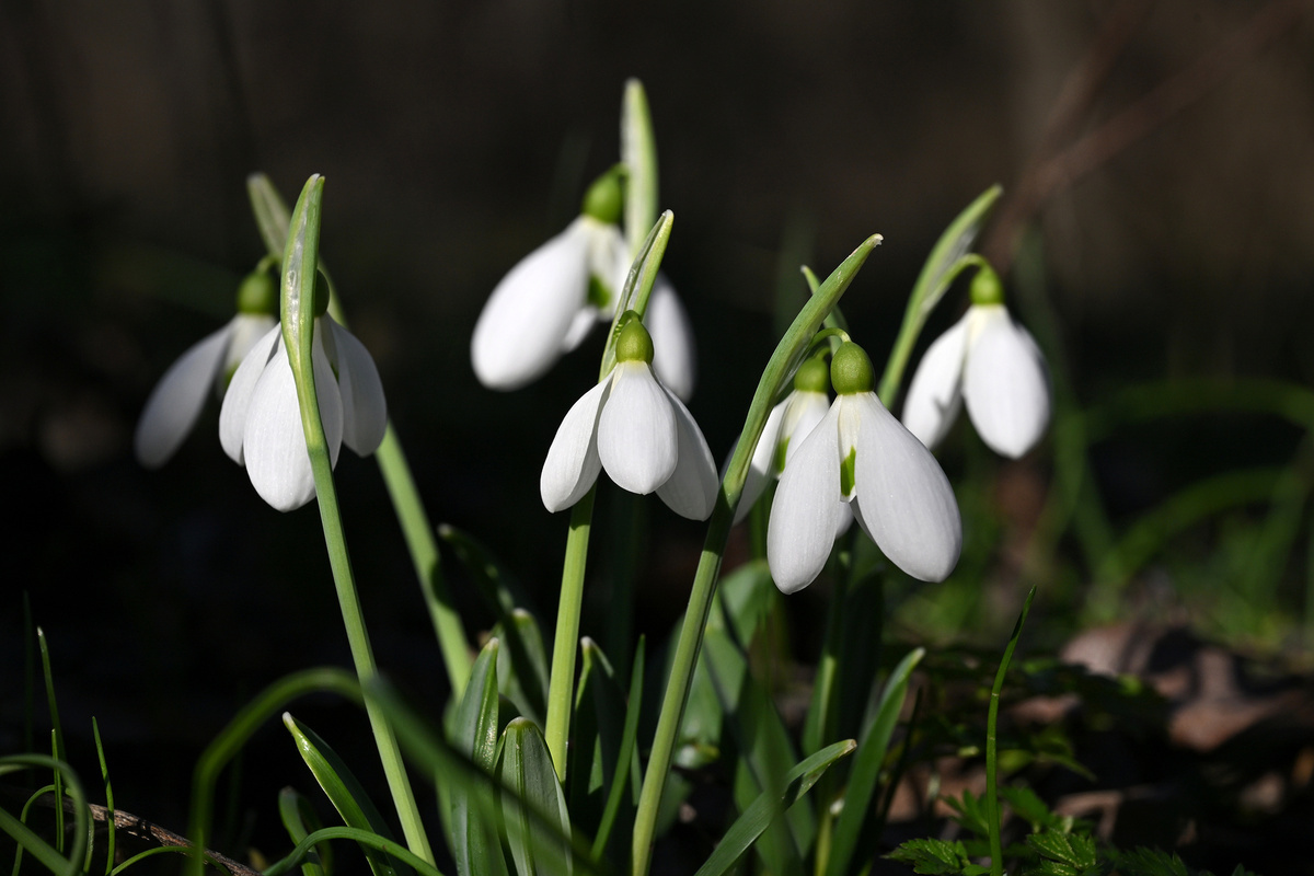 ����������� ������� ���������� � ������