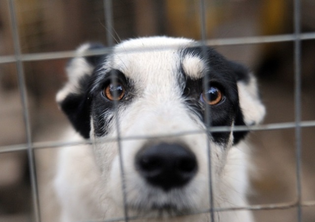 �� �������� ���������� ����� ������ ��������� ���������������