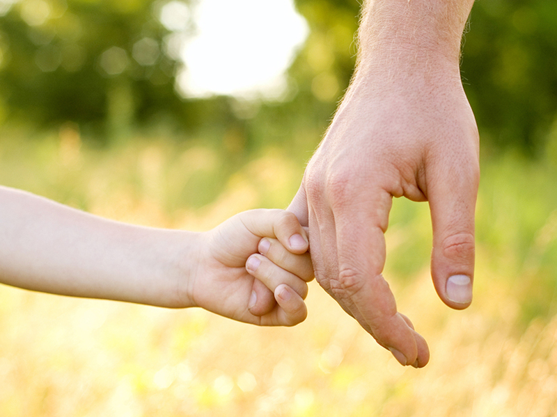 85% �����-����� �������� �� ���������� � �����