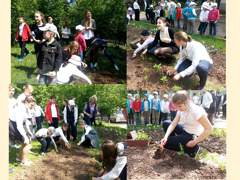 � �������� �1590 ������ ������� ��� ������������� ���������� ��������� ������ ������� ��������