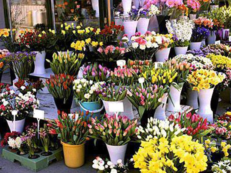 � ������� �������� ����� �� ��������� ���������� �������� �������