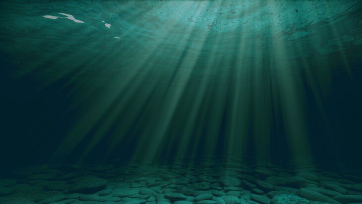 ������� �������� ������ ����� ����������� �� 10 ������ ����� 275 ���