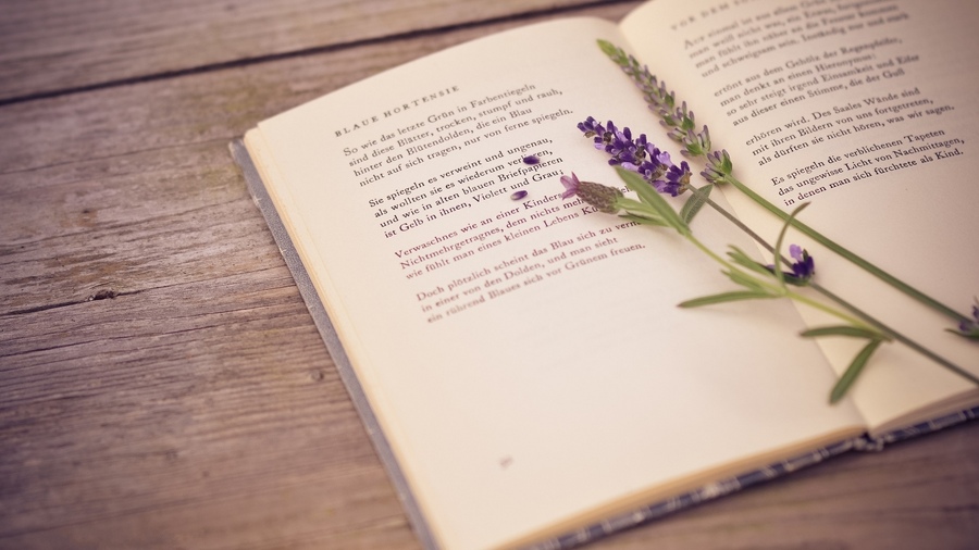 29 ����� � �������� ��������� ������� � ��������� ������� ������