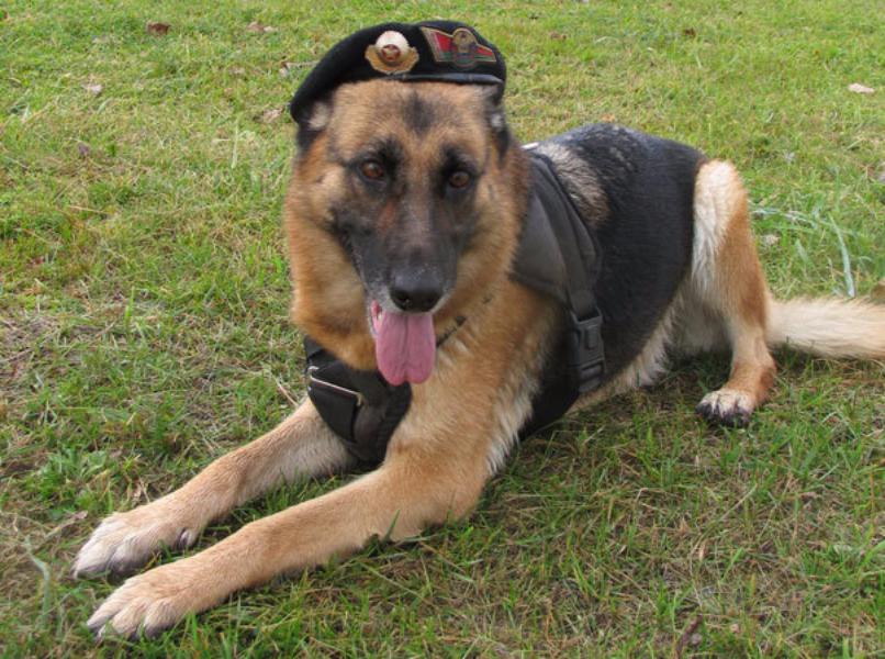 �������� �� ��������� ���� ��������� ������� ����������� ������ ������