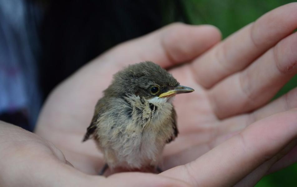 18 ���� � ������ ���������� ��������� ���� ������