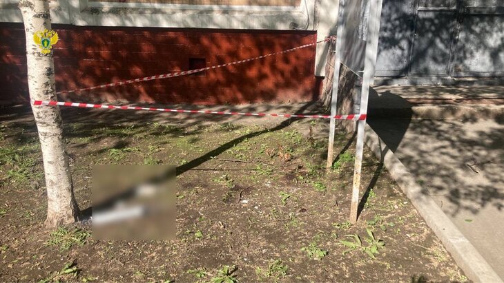 ������� ����������������� ����� ������� � 12 ����� �� ���-������� ������