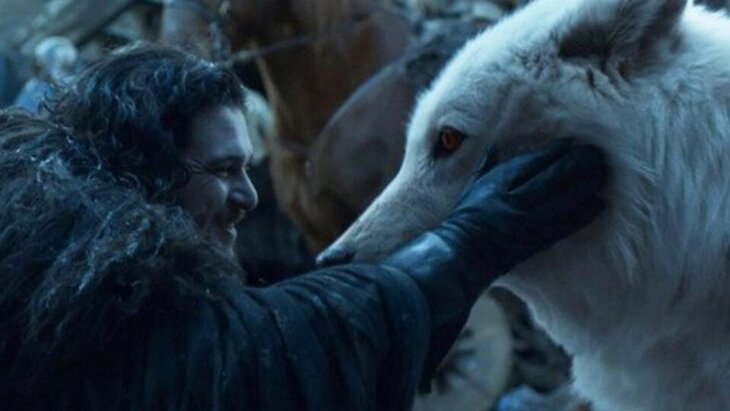 ������ ���������� �������� ��� ����������, ��������� �� ������� "���� ���������" � ���