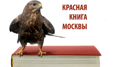 ������� ����� ������ �����������