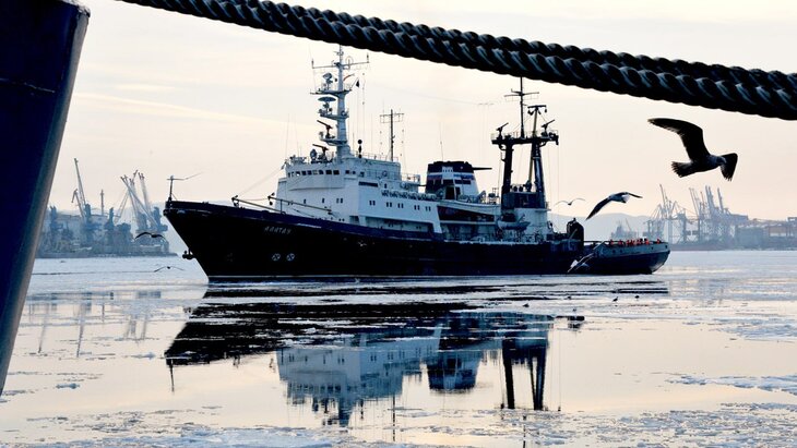 � ����-��������� ���� ������ ������� "������" ���� ���������� ��������