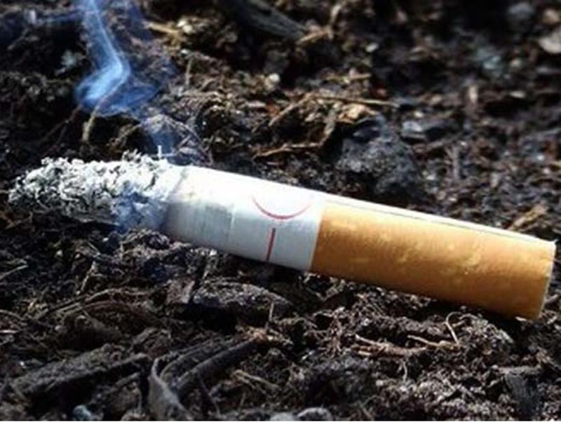 � ������ �� ��������� ������ ����� ����������