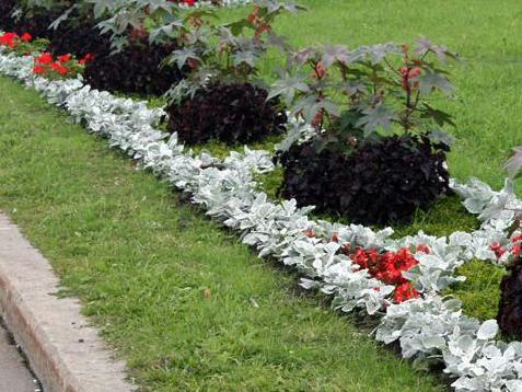 ����� ������� ������ ������� �������� �������