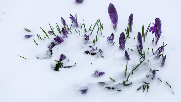 ���� � ������ � 2026 ���� ����� �������� �� ������ �������� ������