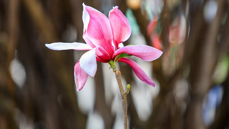 ��������� ��������� � ������ �� 1 ��� ������ �� ������� �����������