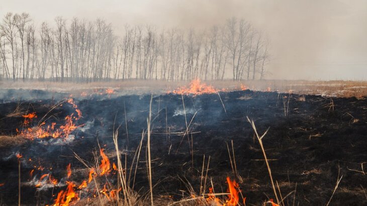 ���������� ������, ��� ������� ��-����� ����� �������� � �������� � ������� � ������