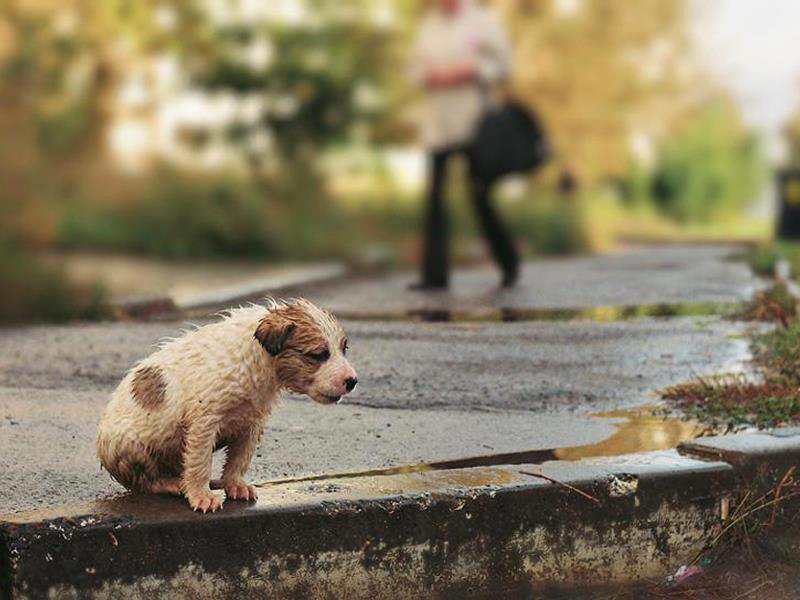 � ������ ����� �������� ������ �� ������, ������� ������� ����� �������� �� �����