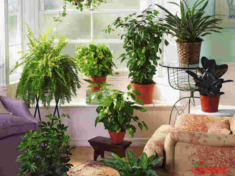 � ������ ����� ��������� ������ ������ ���������� ����������