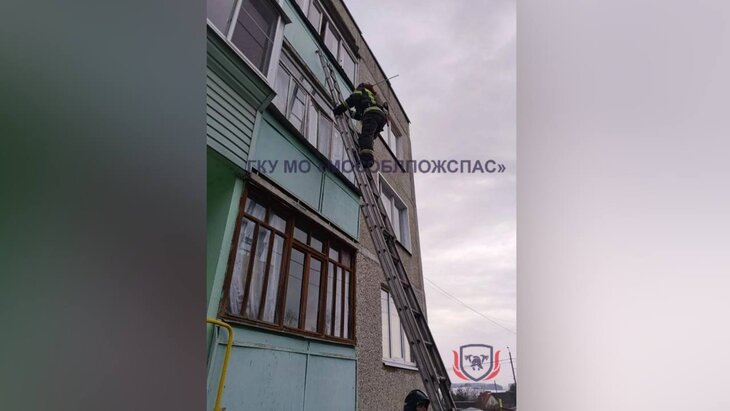 � ����������� 20 ����� ������� ���� 90-������ ������� �� �������